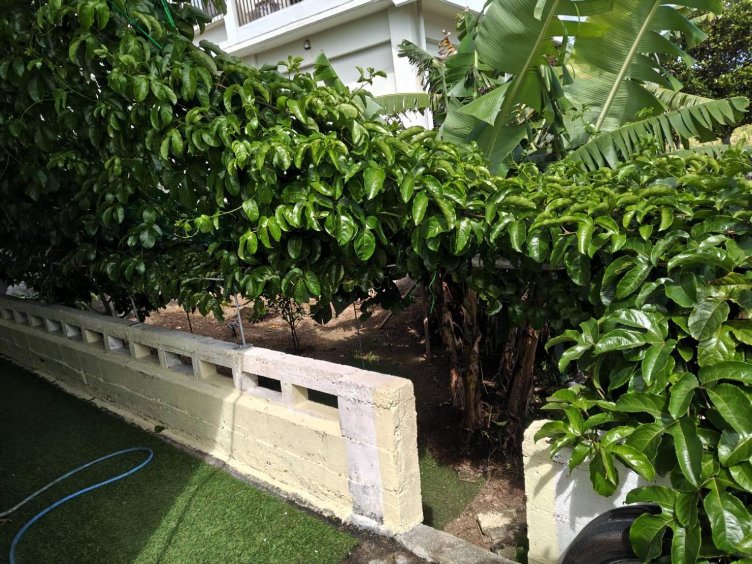 宮古島ゲストハウス　マウイ 미야코지마 외부 사진